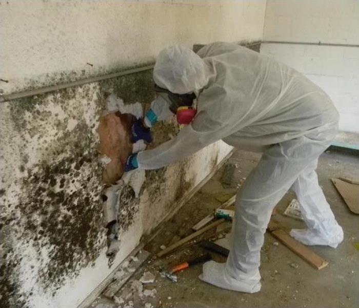 man in protective gear cleaning a wall